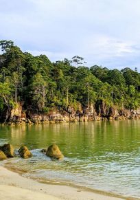 Insel Kalimantan
