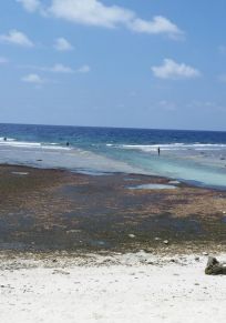 Insel Funaadu