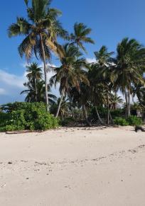 Haa-Alif-Atoll