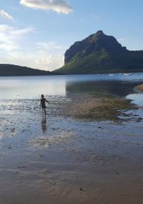 Insel Mauritius