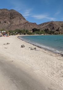 Mulege