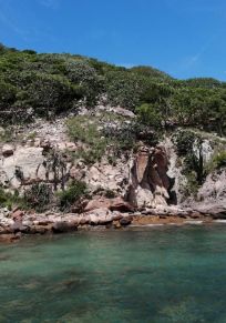 Insel Pájaros