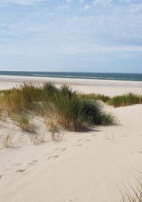 Insel Texel