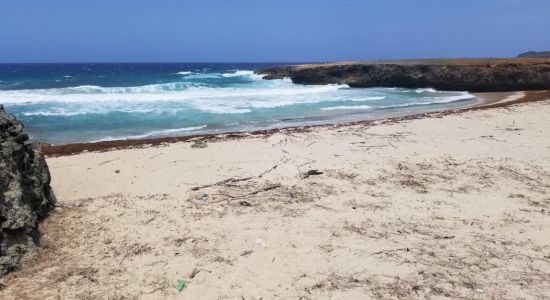 Daimari beach