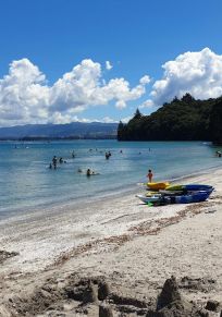 Region Bay of Plenty