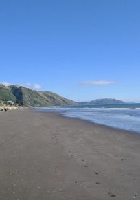 Region Wellington
