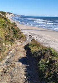 Region Tasman