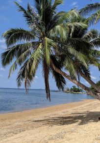 Insel Busuanga