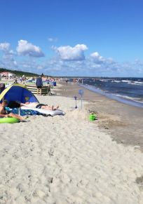 Pasewark