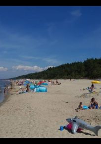 Stutthof