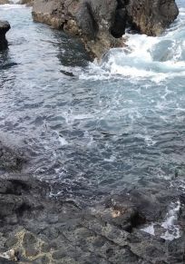 Insel Pico