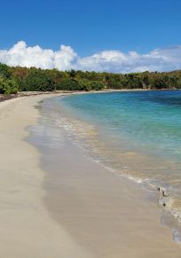 Insel Piñeros