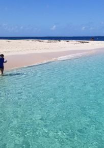 Insel Icacos