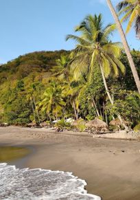 Insel St. Lucia