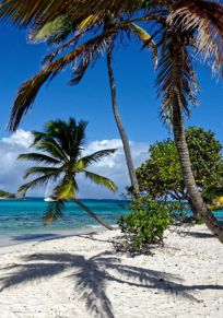 Insel Petit Rameau