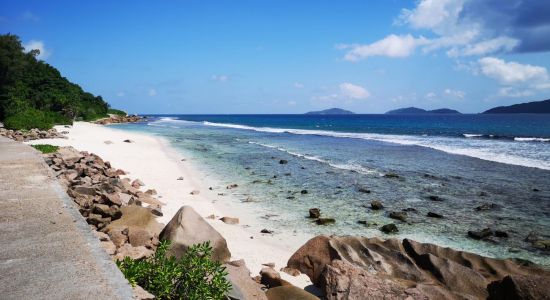 Anse Fourmis Beach