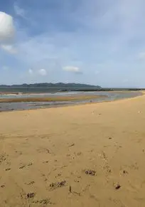 Cai Chien