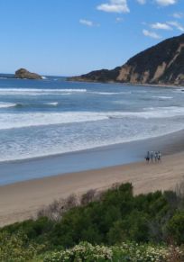 Sedgefield