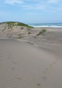 Port St Johns