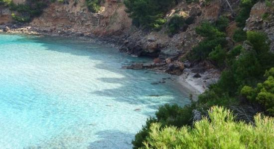 Platja des Calo