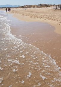 Provinz Valencia
