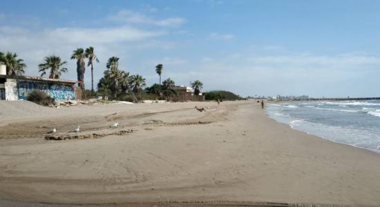 Playa de Meliana