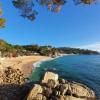 Cala Gogo Strand