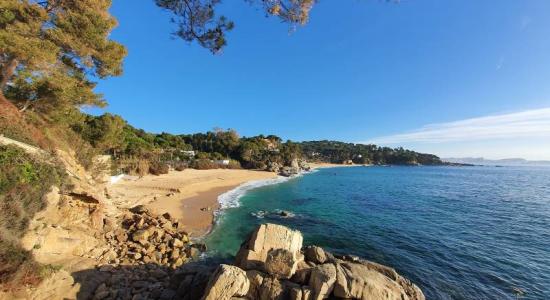 Cala Gogo Strand