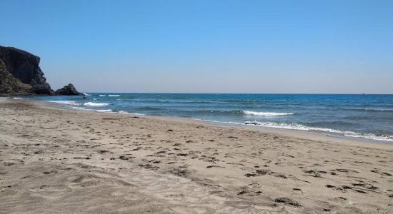 Barronal Strand