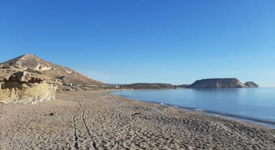 Playa las Palmeras