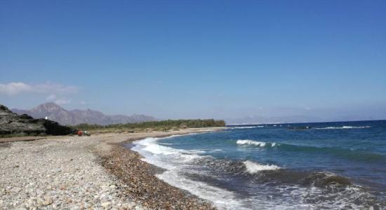 Playa Ballenato