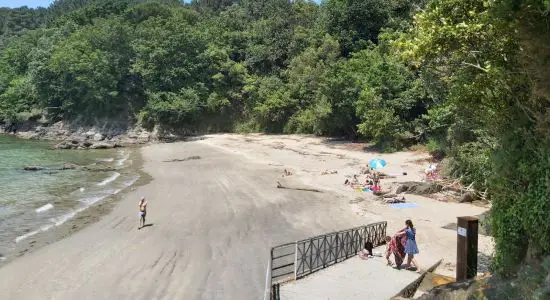 Playa de Almieiras