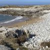 Playa Rosamunda