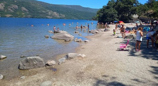 Playa Custa Llago