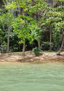 Provinz Krabi