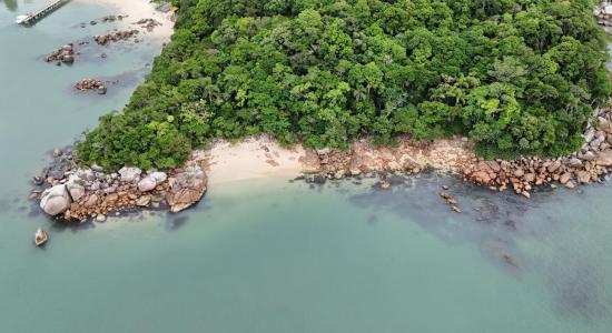 Praia Wanderlust