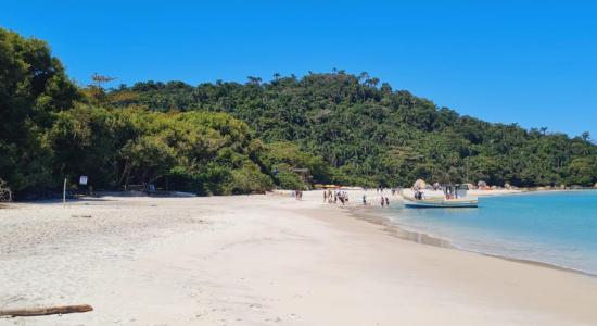 Praia da Ilha do Campeche