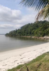 Insel das Cobras