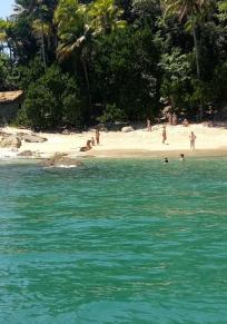 Insel dos Gatos