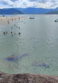 Insel dos Porcos