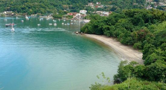 Bladder Beach