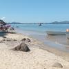 Praia da Junqueira