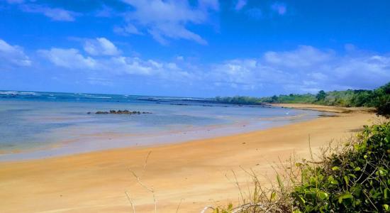 Praia da Baleia