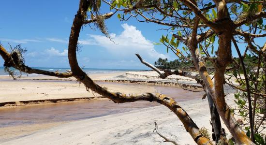 Praia do Riacho
