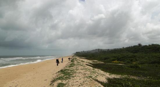 Praia do Pompilho