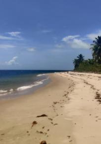 Insel do Goio