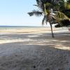 Praia de Pedras Altas