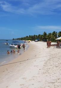 Insel do Sogro