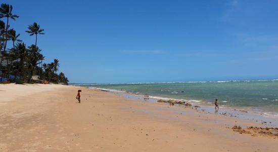 Praia da Garca Torta