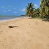 Praia de Bitingui
